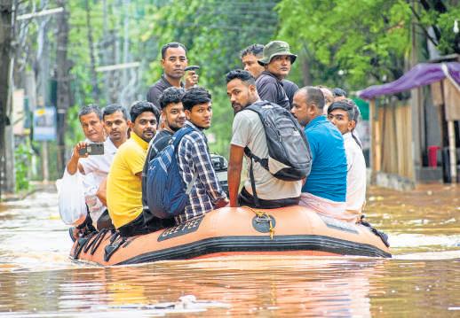 Healing trauma within the golden window
