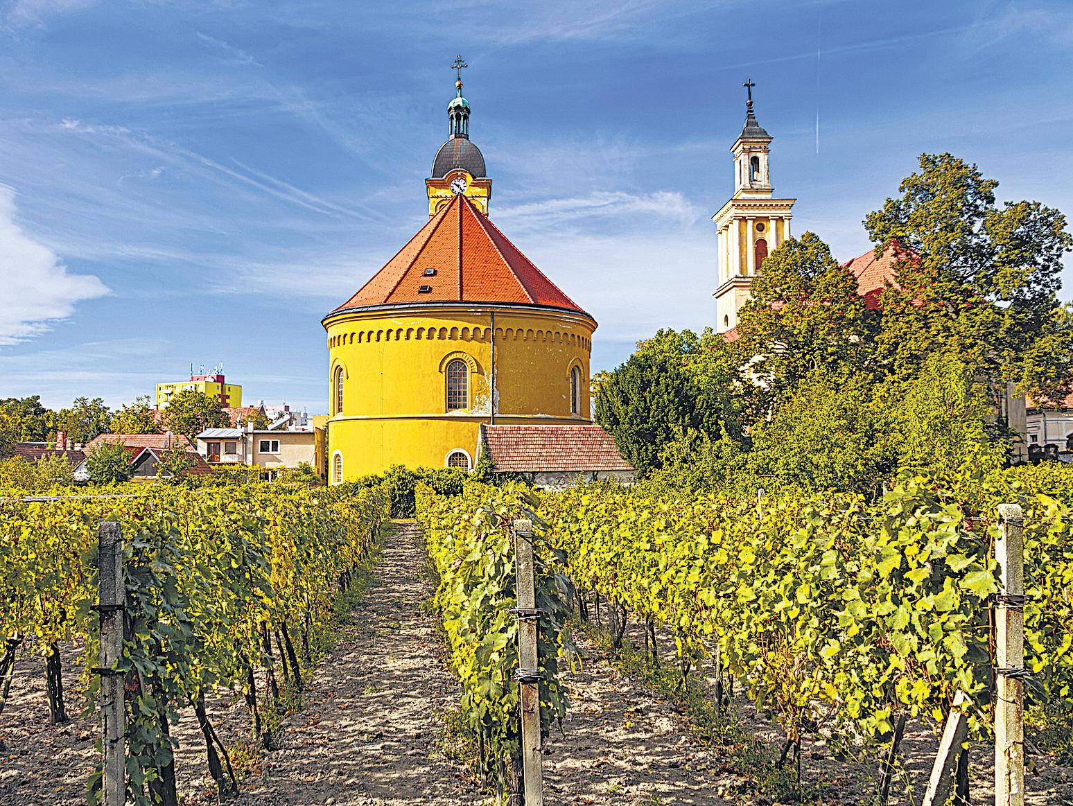 A sipping trip through Slovakia