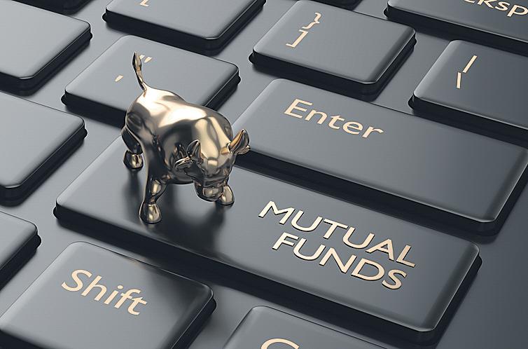 With stock picks shrinking, fund-laden MFs turn to IPOs