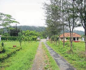 Developers eye tier II, III cities for plotted homes