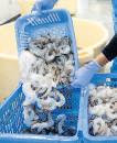 Shrimp exporters eye value-addition, expand offerings