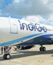 Sensex entry may cushion IndiGo's tumbling stock