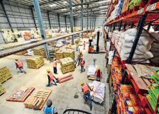 WPI deflation narrows to -0.32% in Nov