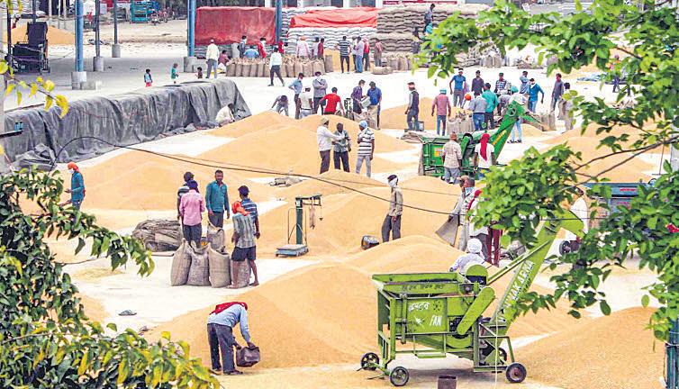 Eyeing exports, India to tap AI for quality checks, distribution, storage