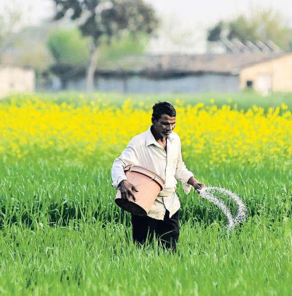 WHY INDIA’S SOIL IS GASPING FOR AIR