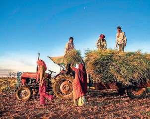 How every geopolitical event hits Indian farmers