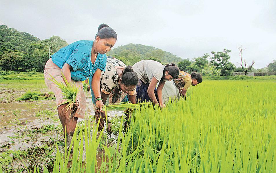 Next-gen reforms to tackle land, women's participation