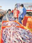 India's seafood wins US nod