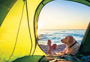 Can we ever give ourselves the gift of time?