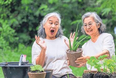 Grief retreats offer physical and emoti