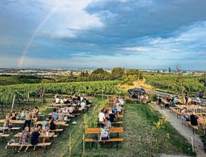 Vienna’s wine culture is organic and biodynamic