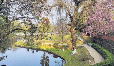 The many fruits of Meghalaya's creative economy