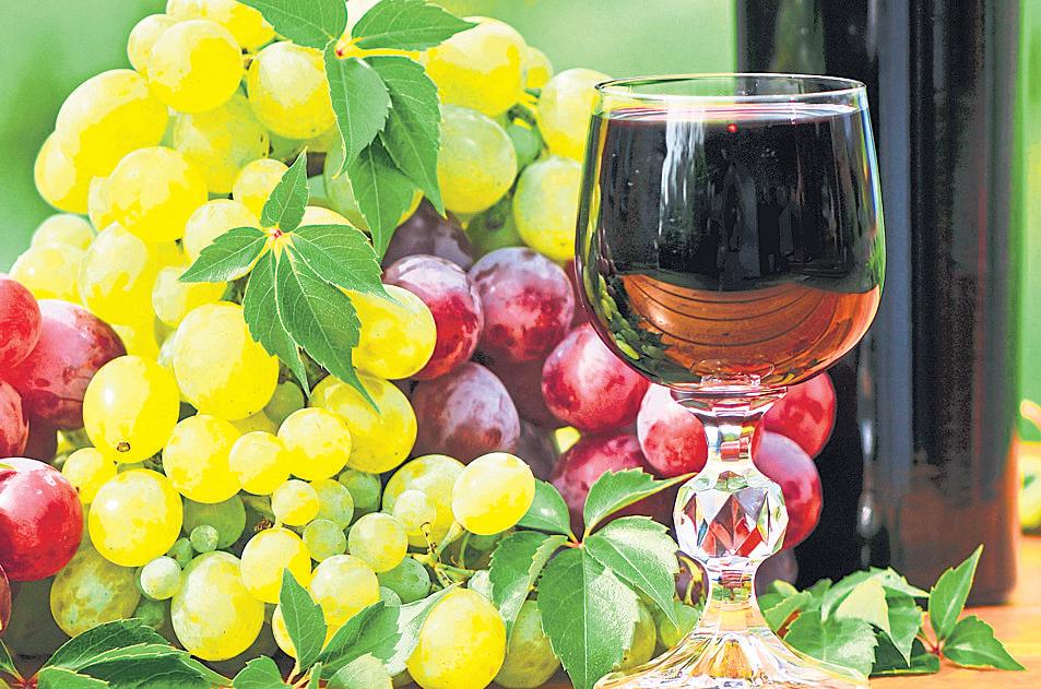 Rains sour Maharashtra’s grape harvest, hit wineries