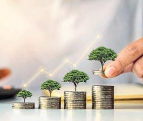 Zerodha's VC arm bucks the climate-tech funding slack