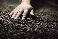 A fillip for agri, processed food exports