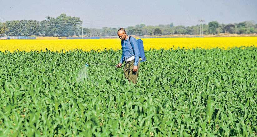 THE UREA TRAP: TIME FOR BOLD REFORMS?