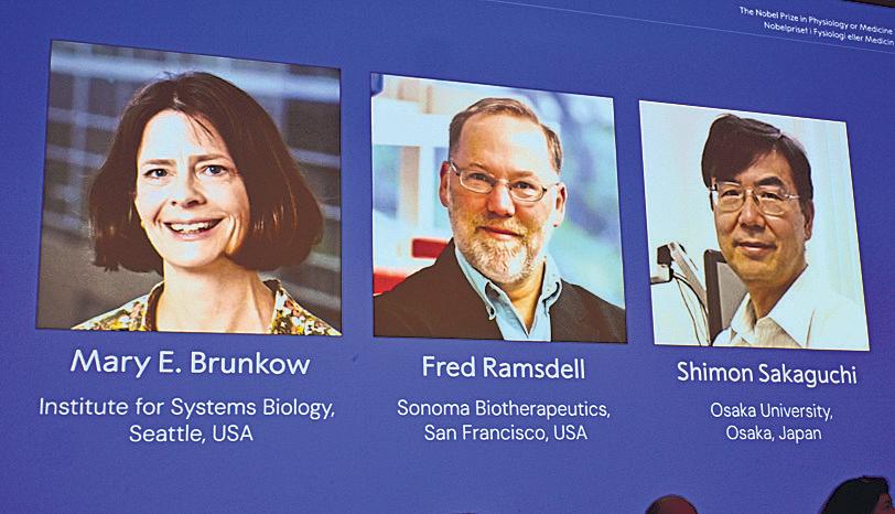 Brunkow, Ramsdell, Sakaguchi win Nobel Prize in medicine