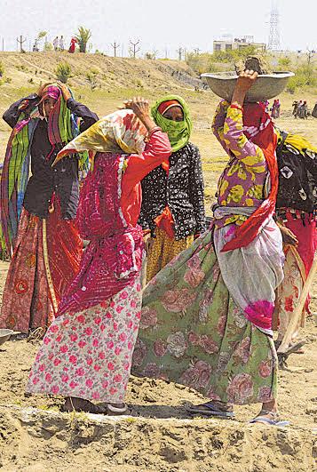 Rural job demand plunges as monsoon boosts farm work