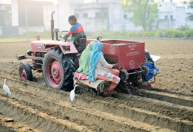 A COMING THAW IN RURAL DEMAND?