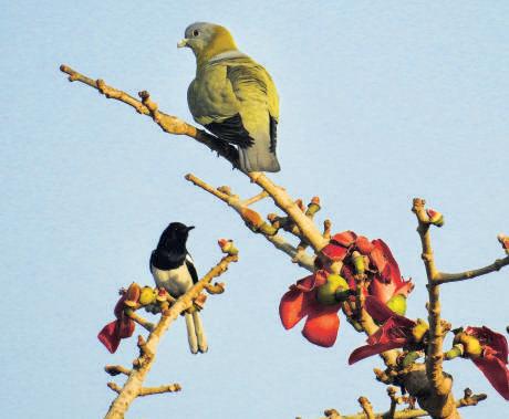 A year when Nature has fought for survival