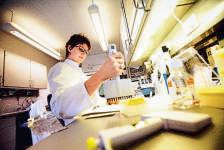 Emcure prices weight-loss drug Poviztra at ₹2,200/week