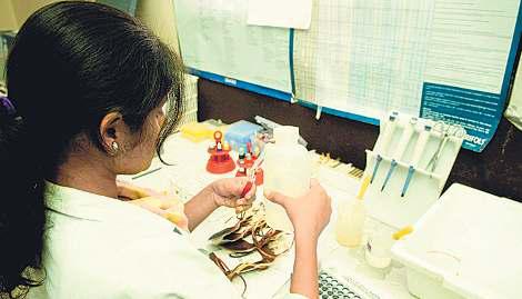 Government cracks down on professional blood donor rackets