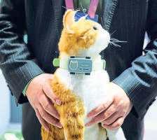 Tech freedom, AI networks dominate MWC