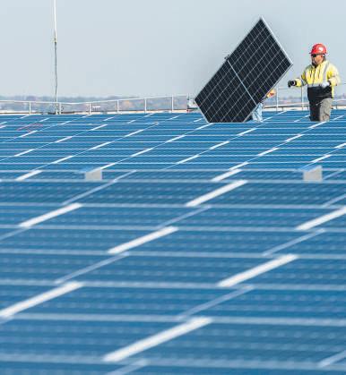 Trump's climate rollback mustn't slow our green transition down