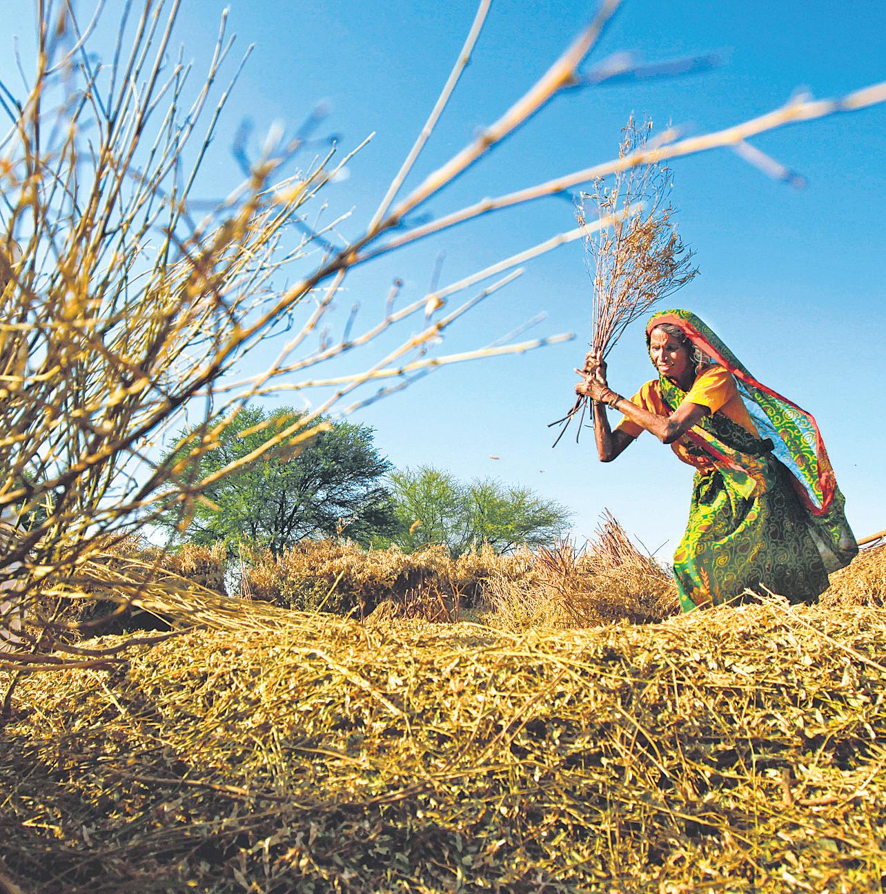 Speed up development in states that need to catch up with others