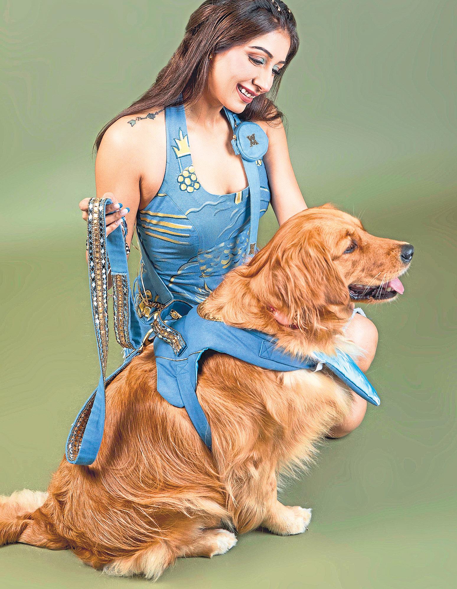 Custom fits for four-legged divas