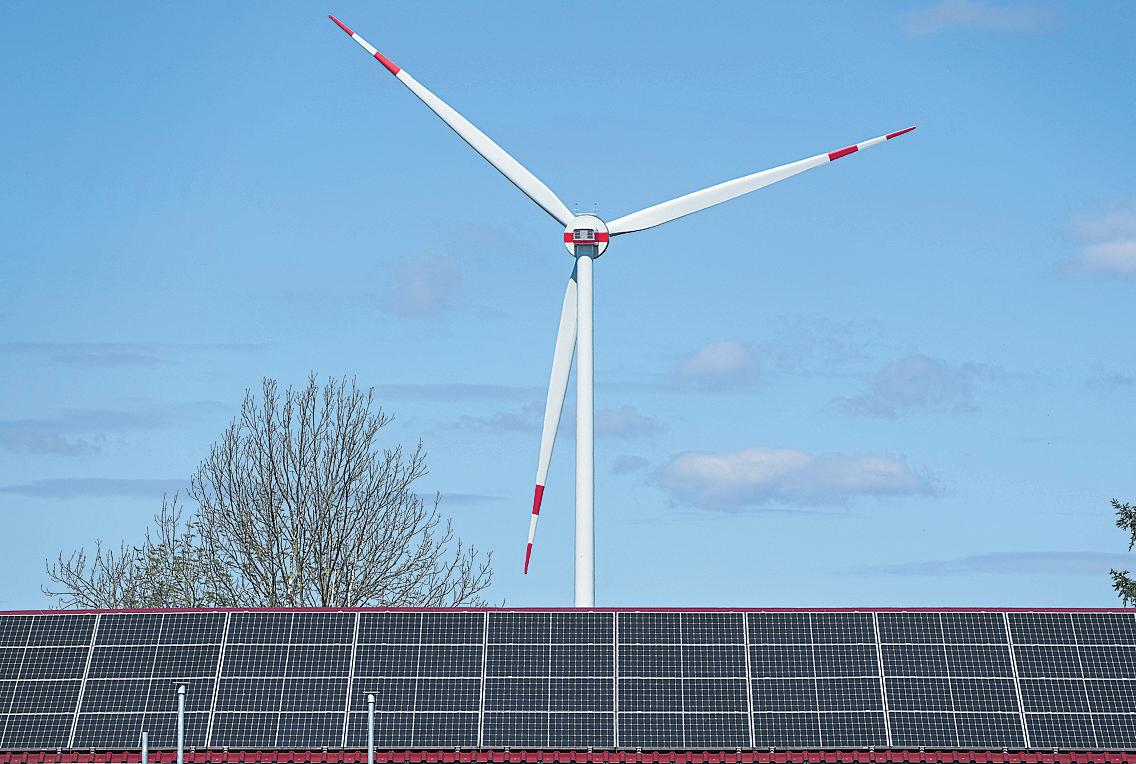 Govt to scrap renewables' contracts if found unviable