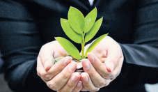 Can an unmarried woman give her wealth to a charitable trust?