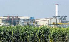India explores blends beyond E20 as ethanol overcapacity mounts