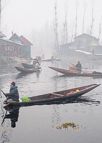IMD says fog, cold wave to intensify