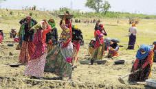 New job guarantee scheme aims to fix design gaps in MGNREGA: Report