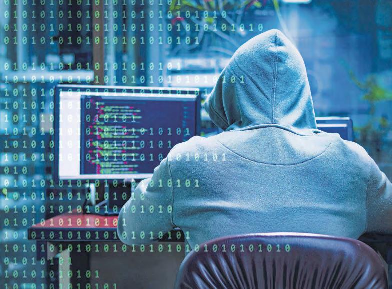 THE NASCENT WORLD OF 'EVAL' PRACTITIONERS