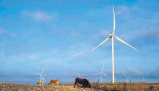 Stonepeak, Waaree, JSW make binding bids for Enel