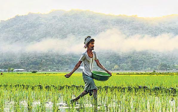 Fertilizer subsidy likely to stay at current level in FY26