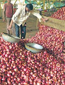 Govt eyes pvt play in onion logistics
