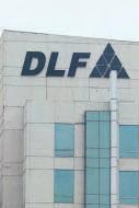 Dahlias key to DLF's rosy FY25
