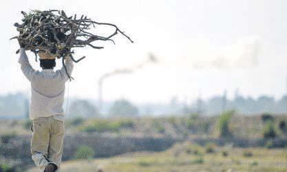 Adapt, don't import: How to combat climate change effects