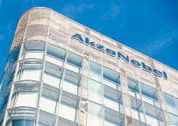 AkzoNobel May Sell Only Paints Biz, 3 Firms in Fray