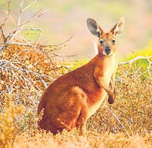 Sometimes it's nice to not know things