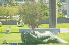 Green certification gets tighter from Aug