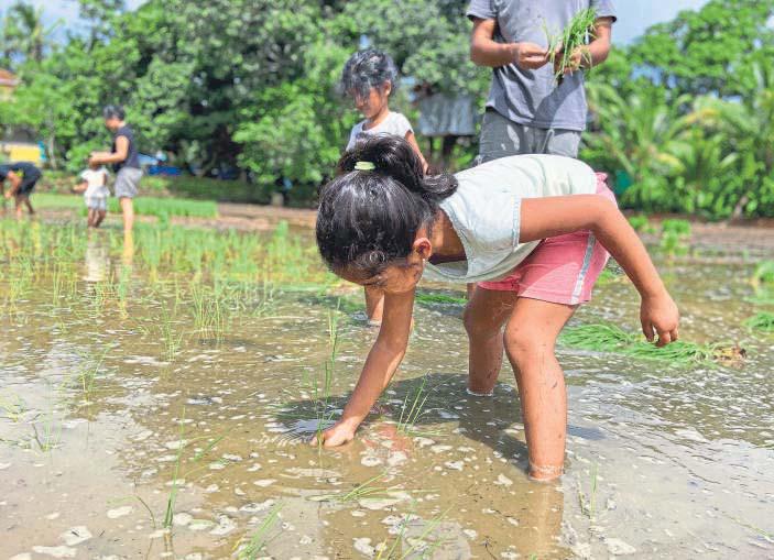 Inside the Niche Charm of Indian Micro Schools