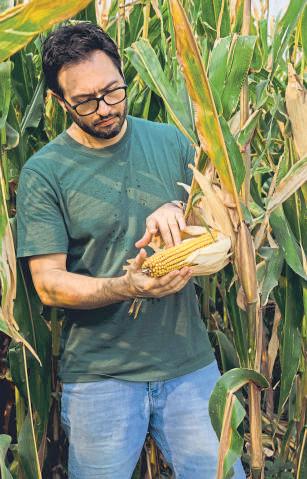 Cook like a chef with farm-fresh produce