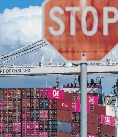 From US tariffs to a trade deal: What are our strategic options?