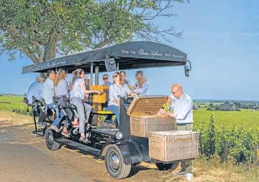 On a white wine sipping trip in sunny Burgundy