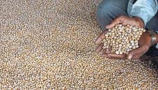 Surge in summer sowing offers more cushion against food inflation