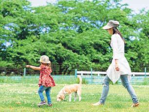 Is early retirement a good idea? Not for your health